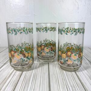 Libbey "Bonne Santé" Spice of Life Vintage Glasses Tumblers Set Of 3 Cottagecore